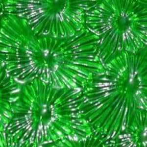 Wissmach Florentine - Green