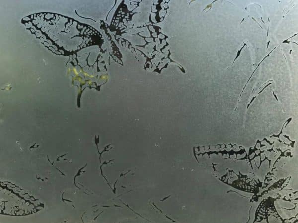 TGR Butterflies